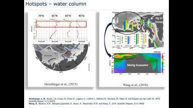 Processes Affecting Mercury Transformation and Biotic Uptake in the Arctic